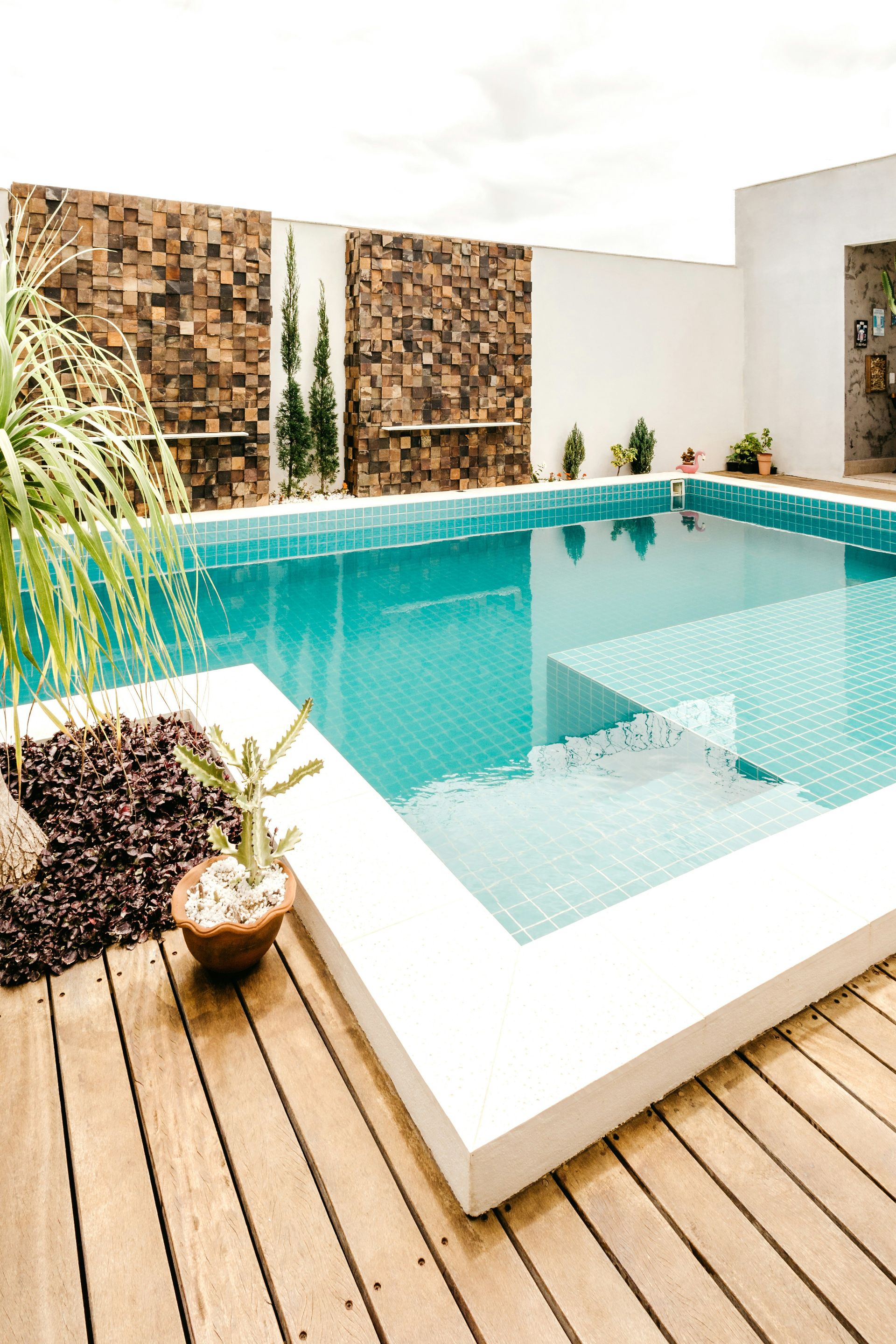 green potted plant beside swimming pool